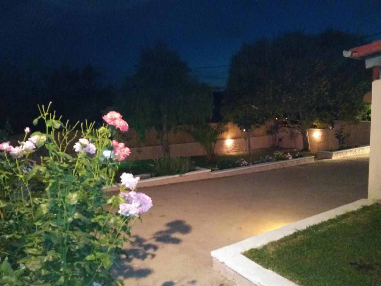Villa Thanos ماراثياس المظهر الخارجي الصورة
